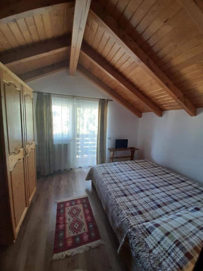 Casuta Pietrosul Rodnei Appartement Borşa Buitenkant foto